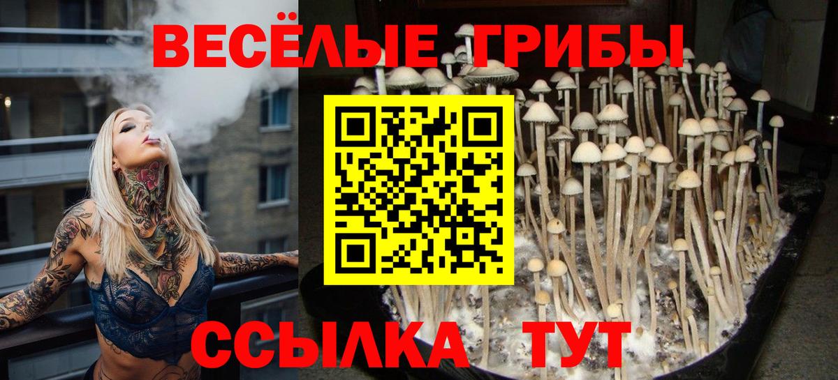 Галлюциногенные грибы MAGIC MUSHROOMS Краснодар
