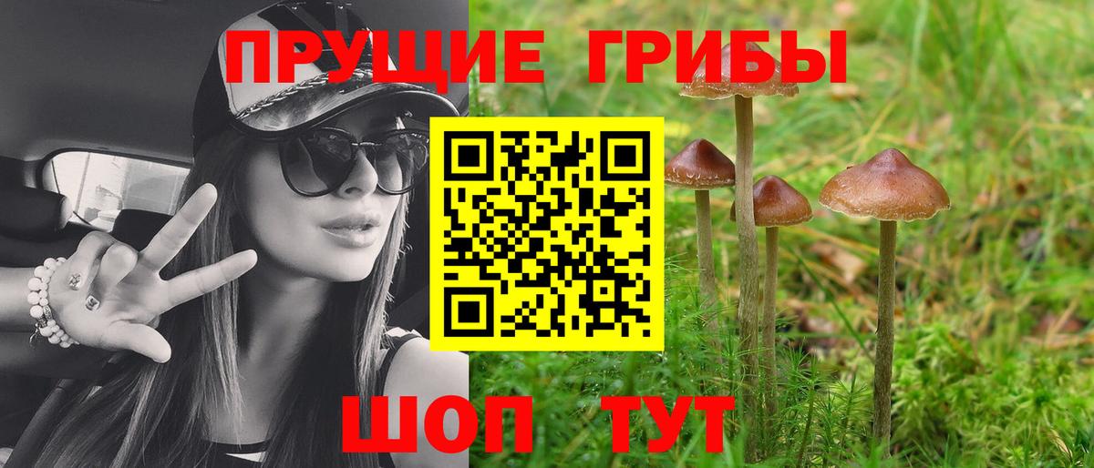 Псилоцибиновые грибы MAGIC MUSHROOMS  Вход с VPN  Псилоцибиновые грибы ЛСД  Краснодар 